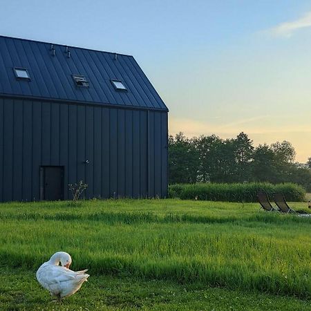 Apartamenty Boczna 3B Z Sauna I Balia Kudowa-Zdrój Extérieur photo